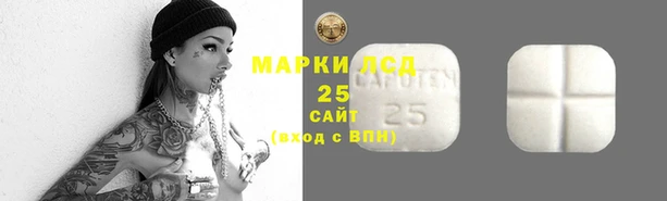 твердый Нефтекумск