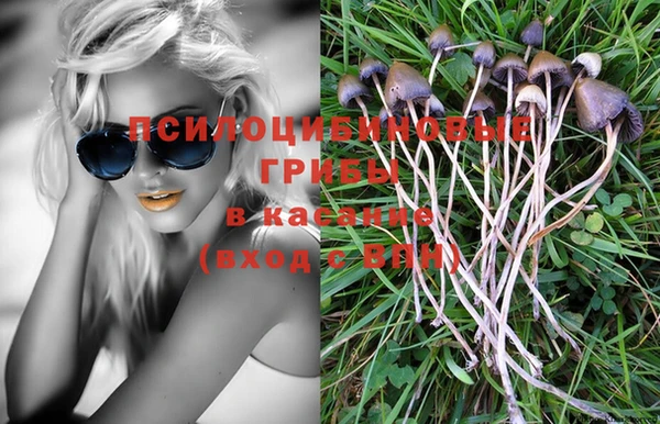 твердый Нефтекумск