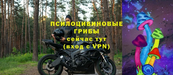 гашик Горно-Алтайск