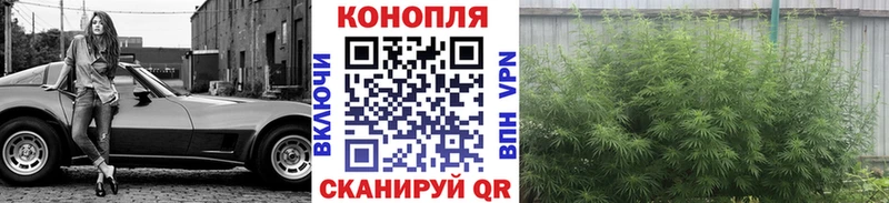 Каннабис тримм Облучье